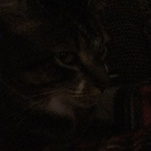 Meet your Posher, Becca